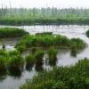 Flusslandschaft an der Peene Flusslandschaft an der Peene