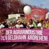 "Wir haben es satt"-Demo 2019: Foto von Ingeborg Kelber