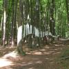 Naturfreundehaus Hanau-Rodenbach Wald Naturfreundehaus Hanau-Rodenbach Wald
