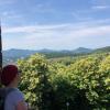 Tourismus in der Pfalz Blick auf pfälzer Landschaft
